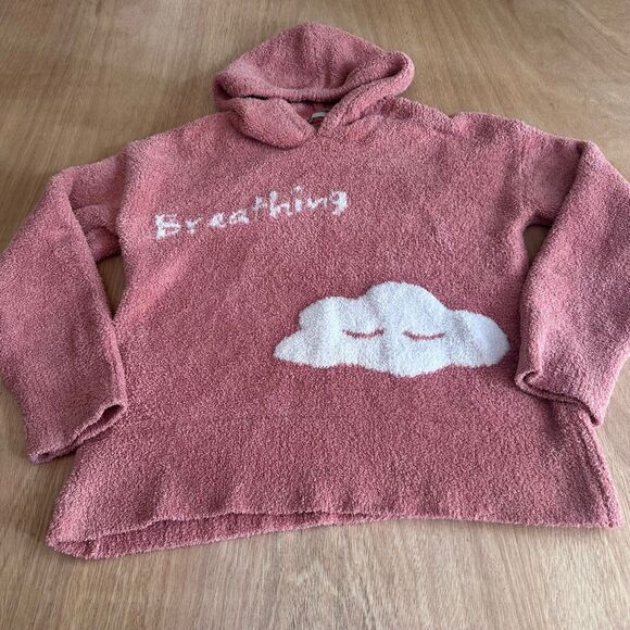 Ruyi Sherpa Hoodie Pink/Salmon Cozy Fuzzy Cloud Graphic Sweater M - Picture 1 of 4